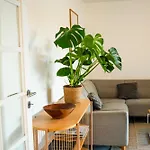 Spacious Nordic Cph Garden I 5 Min To Metro